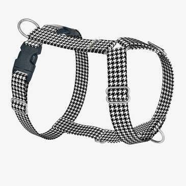 front view of harness front view of harness